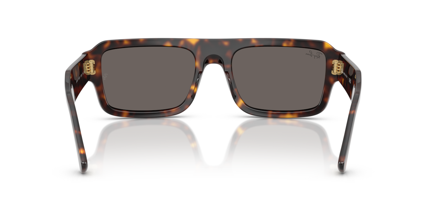 Sunglasses Ray-Ban RB4454 Flacko Bio-Based | Free Shipping