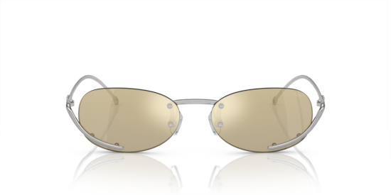 DL1004 Diesel Brushed Silver