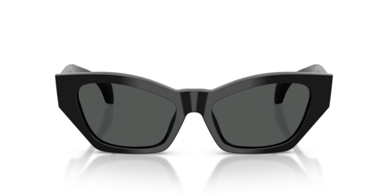 Sunglasses Versace VE4488U | Free Shipping | Glasses.com®