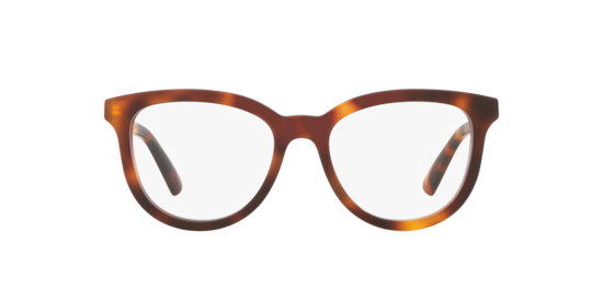 GG1687O Gucci Tortoise