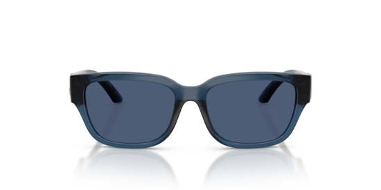 DX6009 Dolce & Gabbana Transparent Blue