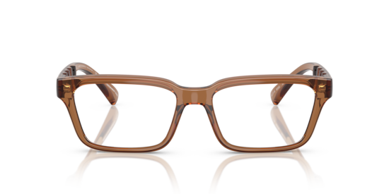 AX3116 Armani Exchange Shiny Transparent Brown