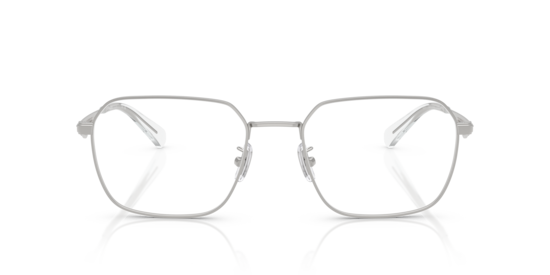 HC5186 Coach Satin Siliver