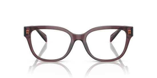 VE3338 Versace Transparent Violet