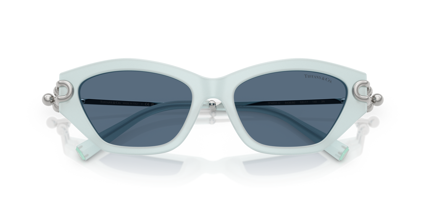 Tiffany & Co. Ivory Cat-Eye Sunglasses| Tiffany Luxury Cat Eye Sunglasses Tiffany TF4218 Sunglasses | LensCrafters main image 2