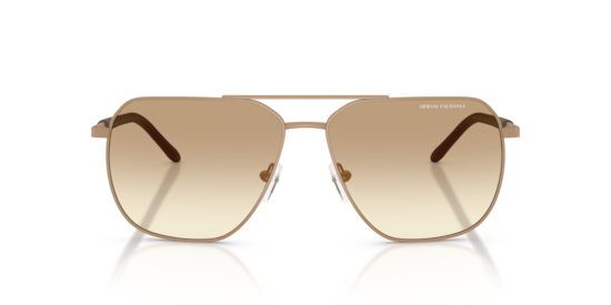 AX2057S Armani Exchange Matte Beige