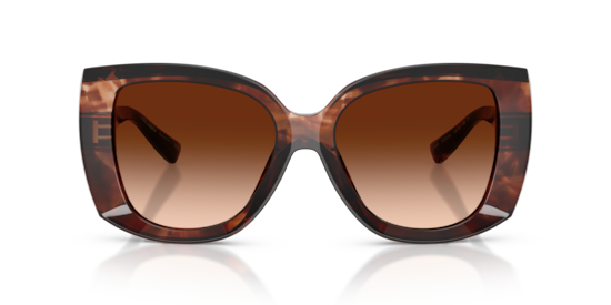 DG4495 Dolce & Gabbana Dark Red Havana