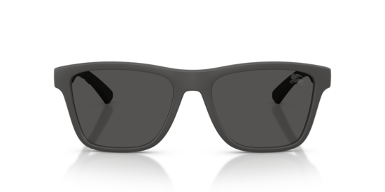 BE4482U Burberry Matte Grey