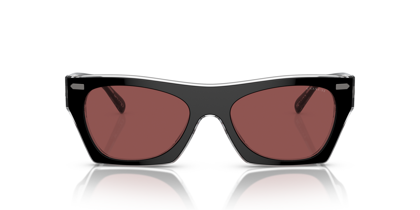 Sunglasses Coach HC8389U CL917 | Free Shipping | Glasses.com® display picture 3