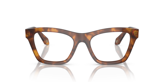 AR7240 Giorgio Armani Red Havana