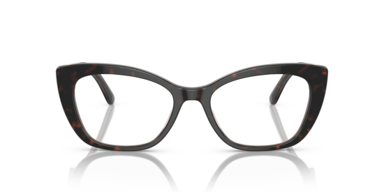 DG3360 Dolce & Gabbana Havana/Transparent Brown