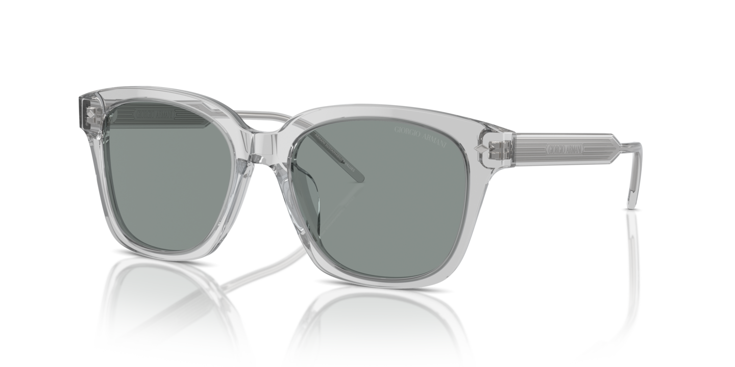 Giorgio Armani AR8210U Transparent Grey