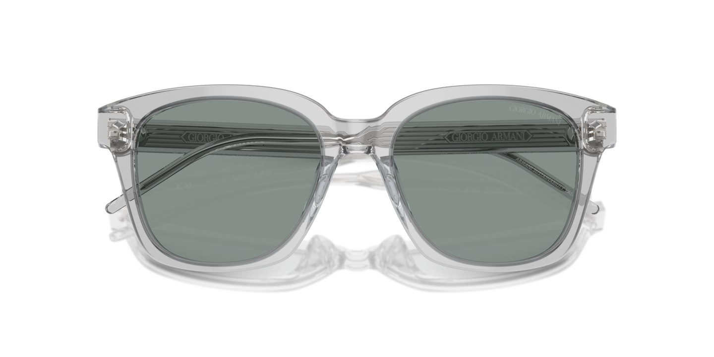 Sunglasses Giorgio Armani AR8210U | Free Shipping | Glasses.com® display picture 1