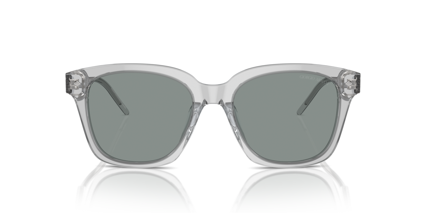 Sunglasses Giorgio Armani AR8210U | Free Shipping | Glasses.com®