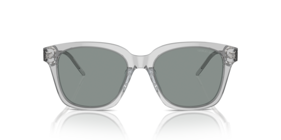 AR8210U Giorgio Armani Transparent Grey