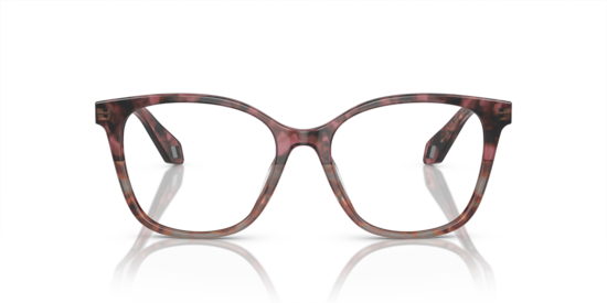 AR7246U Giorgio Armani Bordeaux Havana/Havana Grey