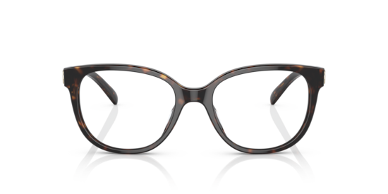 HC6194U Coach Dark Tortoise