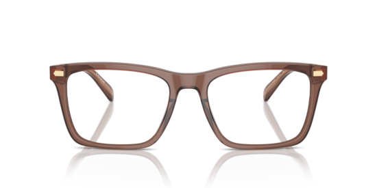 HC6238U Coach Transparent Pecan