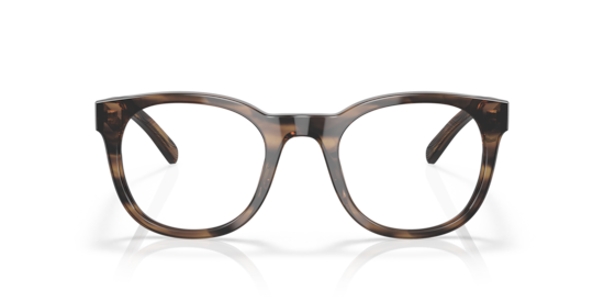 6A2006 Mariana Trench 410 Costa Brown