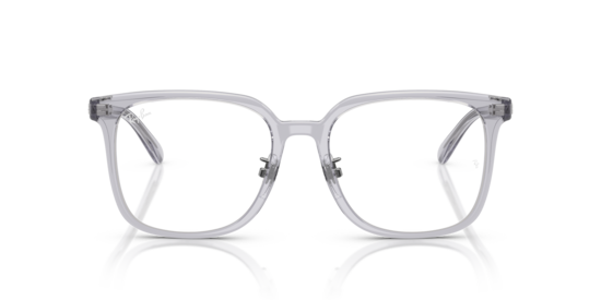 RB5419D Ray-Ban Transparent Grey