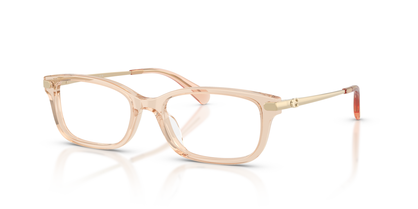 Coach HC6287U Transparent Champagne