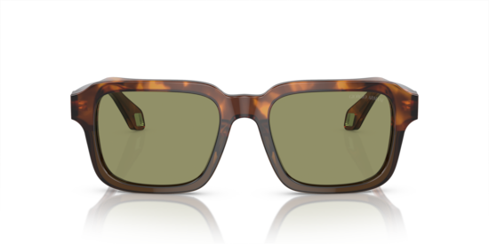 AR8194U Giorgio Armani Havana Red/Opaline Olive Green