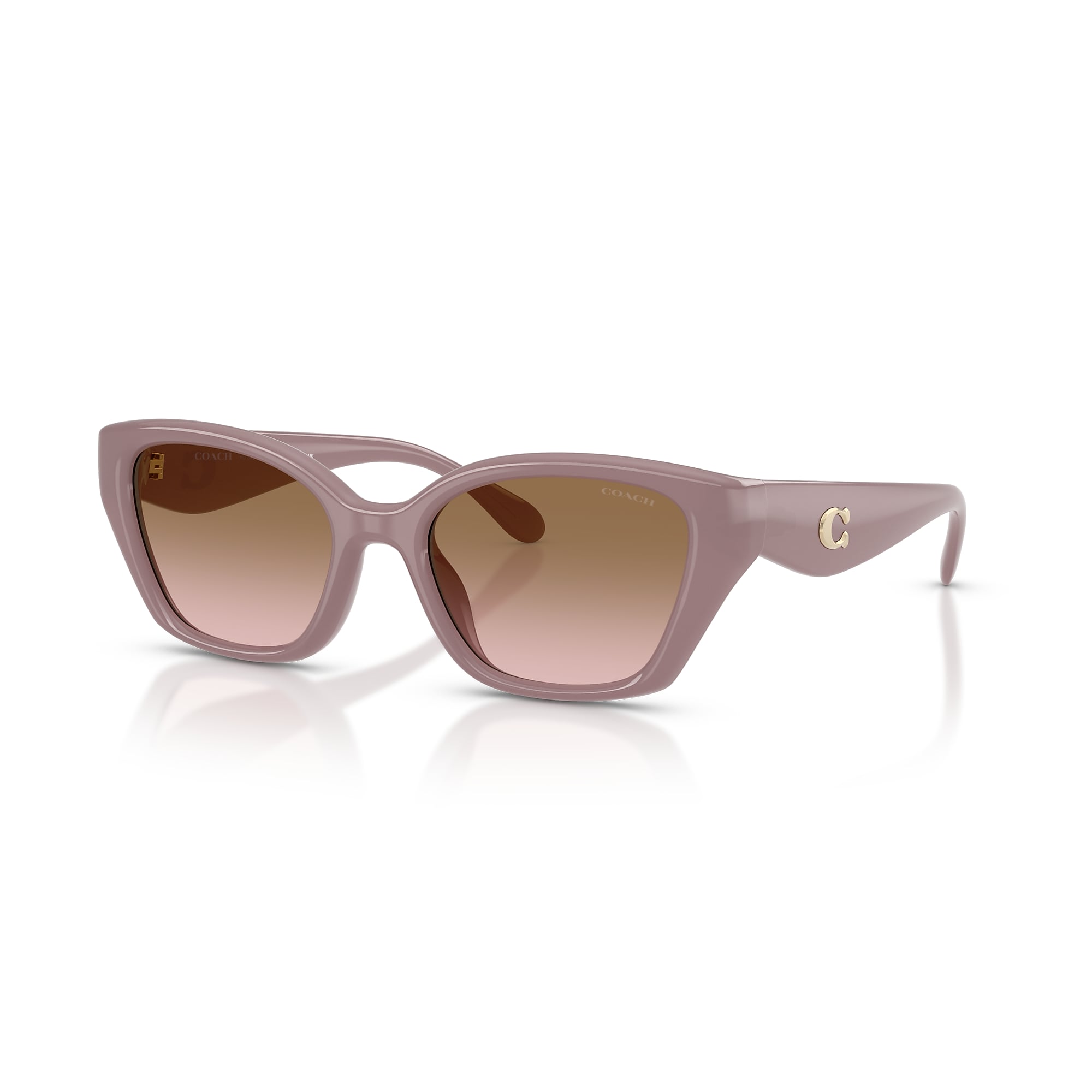 COACH サングラス Coach HC8413BD CW419 XL (58 - 16) with Grey lenses and Black frame
