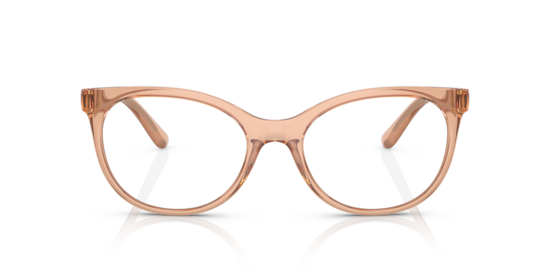 DG5084 Dolce & Gabbana Transparent Beige