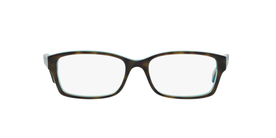 HC6040 Brooklyn Coach Dark Tortoise