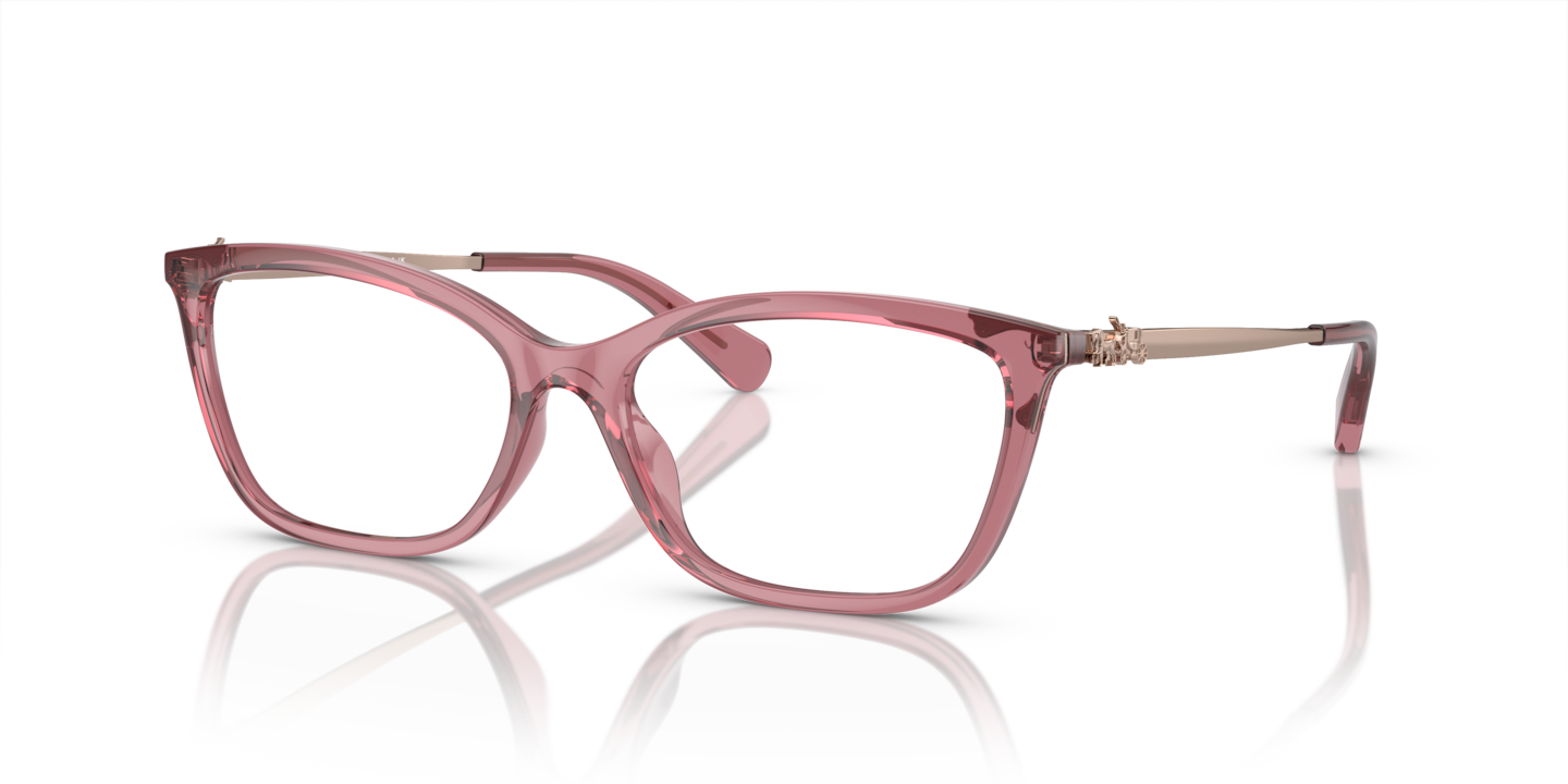 Coach HC6146U Transparent Berry