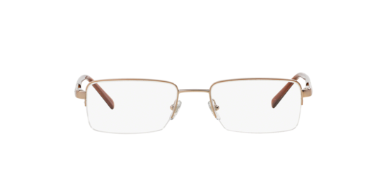 VE1066 Versace Bronze