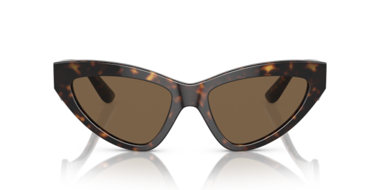 DG4439 Dolce & Gabbana Havana