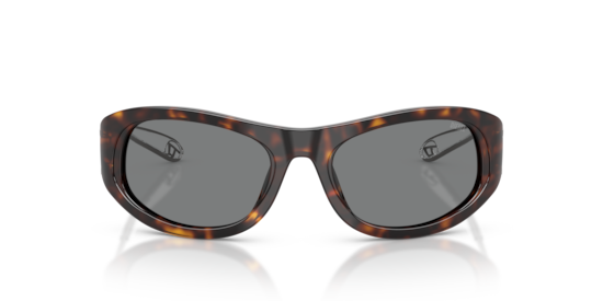 DL2007U Diesel Havana