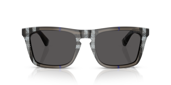 BE4434 Burberry Check Lichen