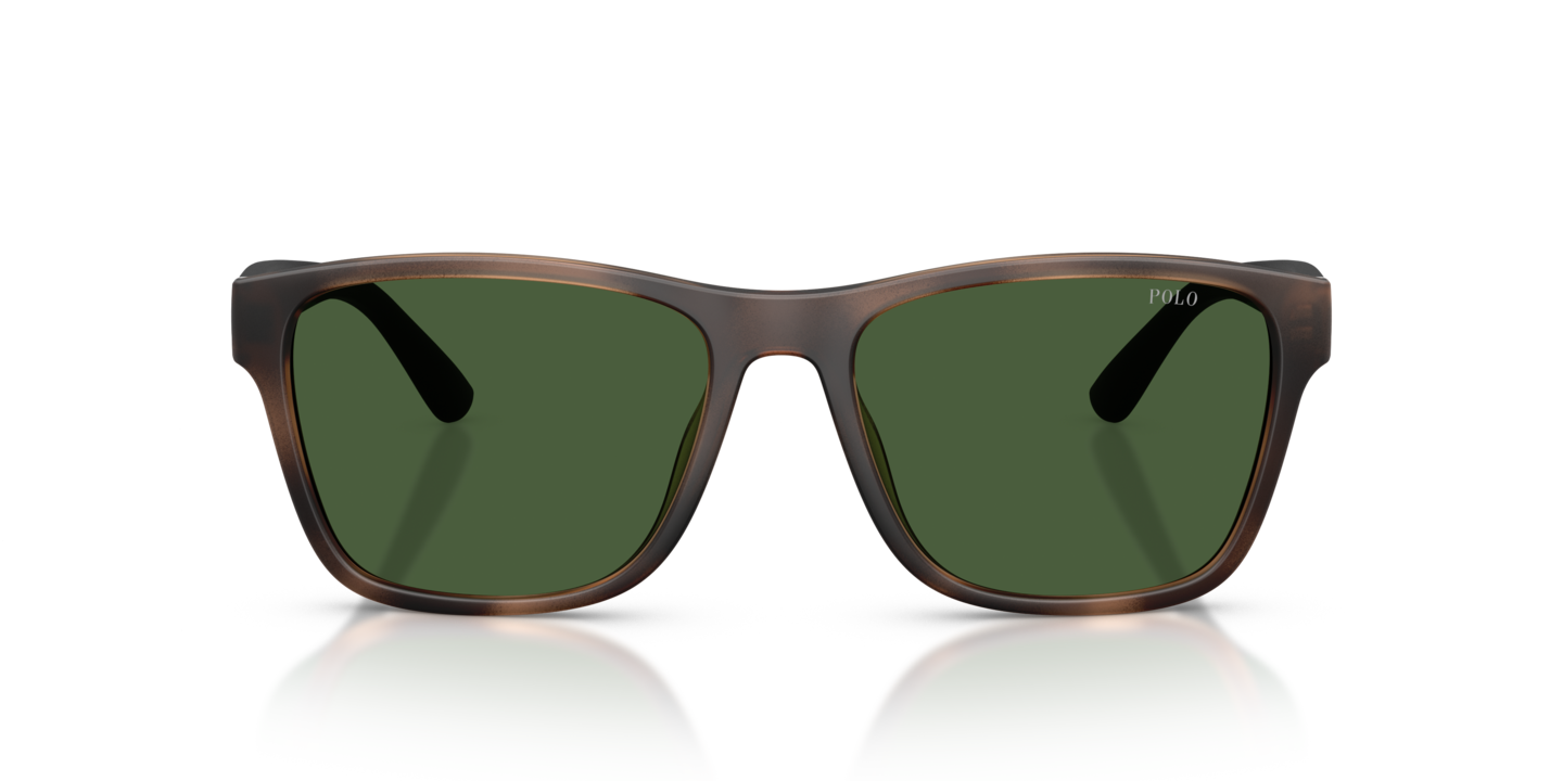 NWT Polo Sunglasses in gray-green Polo Ralph Lauren Sunglasses PH4192 608487 main image 2