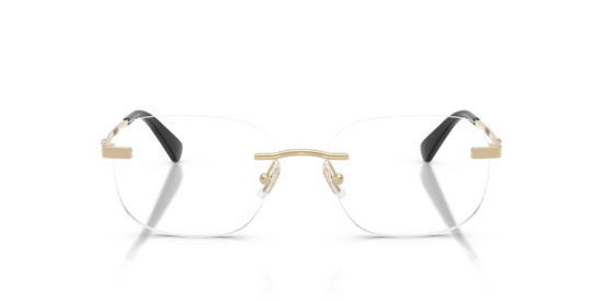 HC5206D Coach Shiny Light Gold