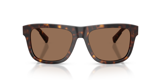 DG4545 Dolce & Gabbana Havana