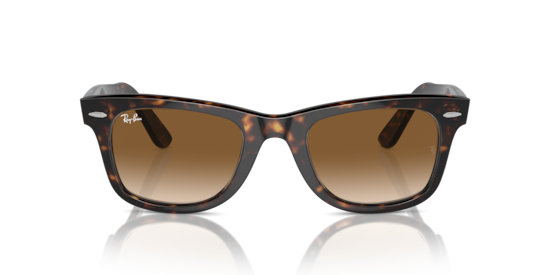 小物 ORIGINAL WAYFARER CLASSIC ORIGINAL WAYFARER CLASSIC Sunglasses in Black and Green