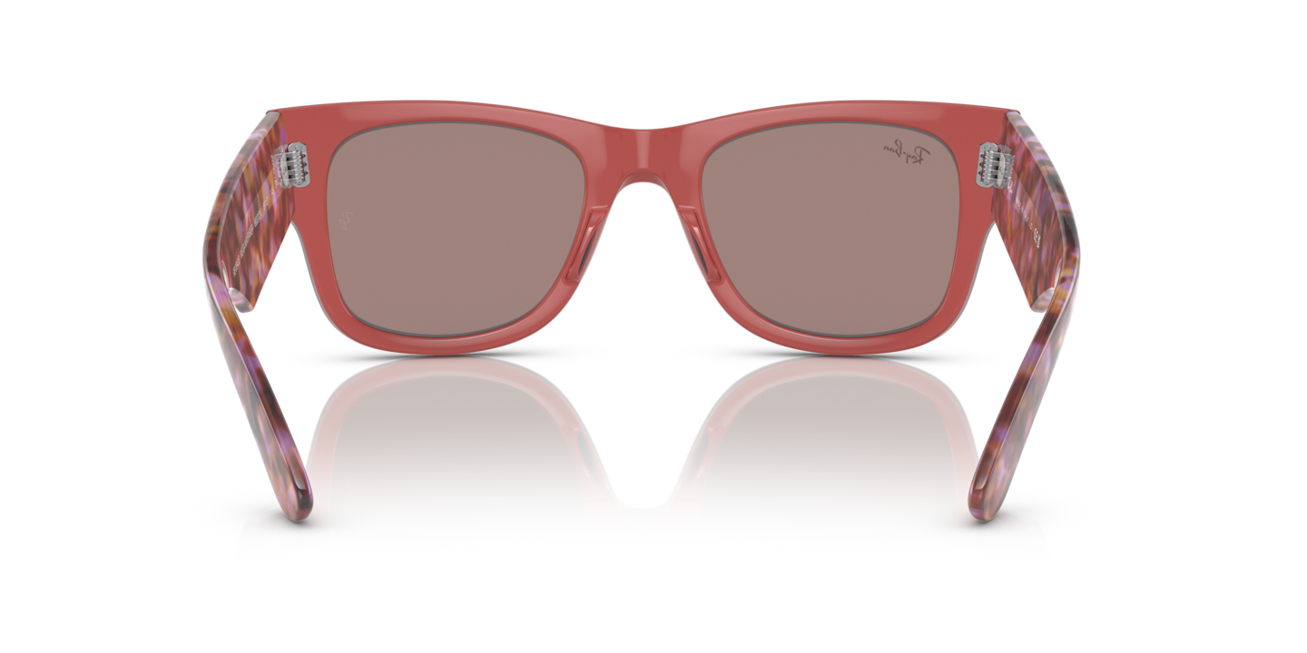 邦楽 Arco iris/ refio 邦楽 Arco iris/ refio The Gonz II