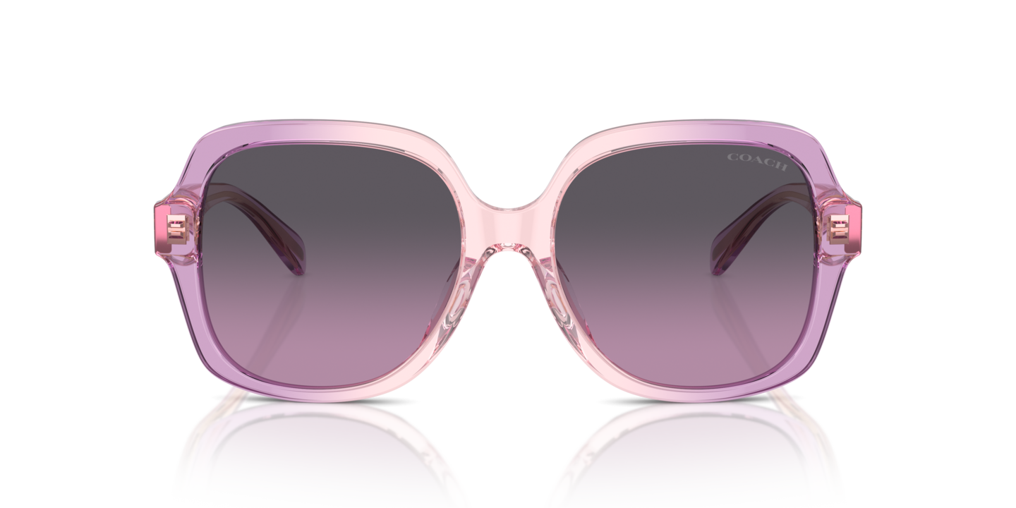 Sunglasses Coach HC8395U CR614 | Free Shipping | Glasses.com® display picture 3