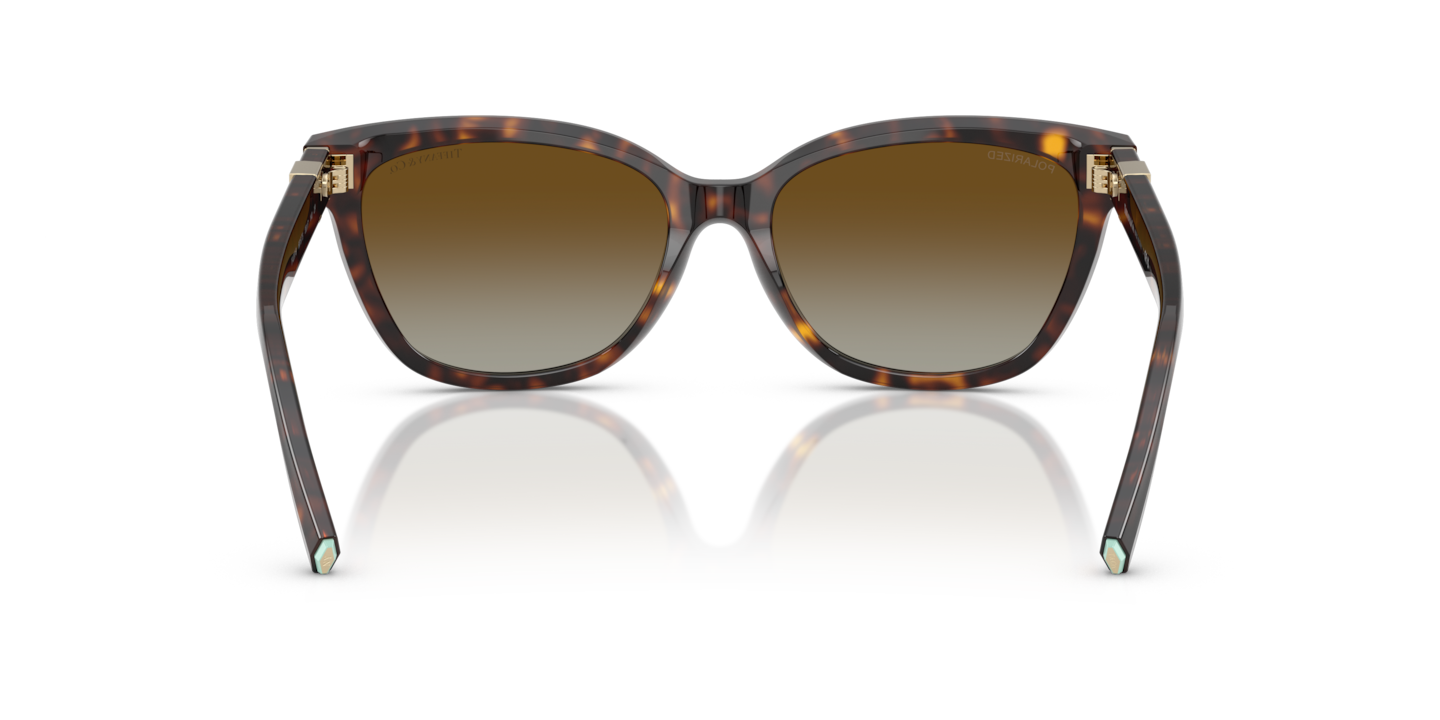 Sunglasses Tiffany TF4237B | Free Shipping | Glasses.com®