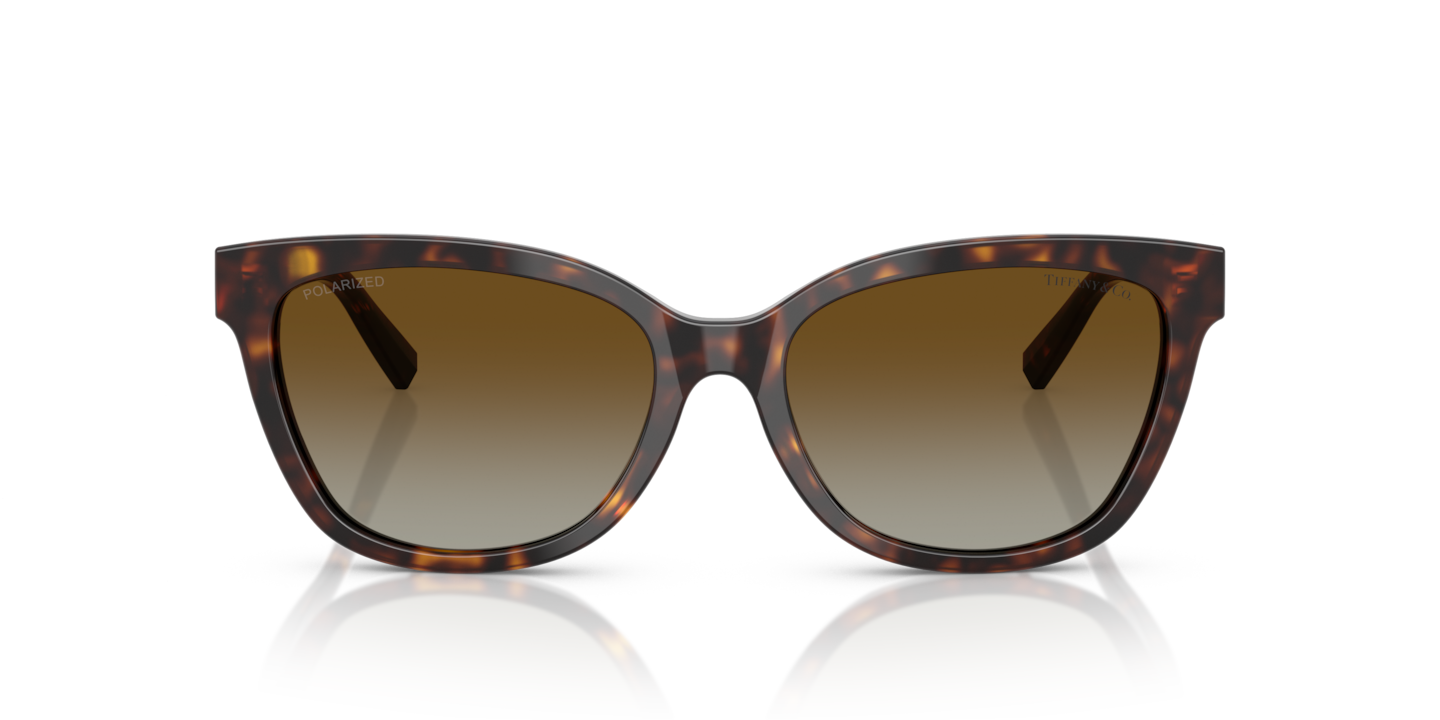 Tiffany Sunglasses TF4237B-80013C-55 New with tags Sunglasses Tiffany TF4237B | Free Shipping | Glasses.com® main image 3