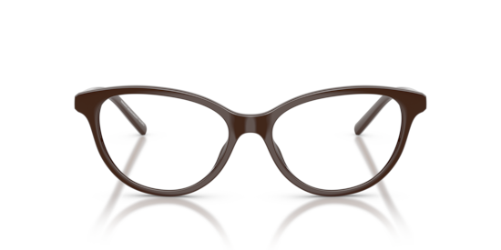AX3138U Armani Exchange Shiny Dark Brown