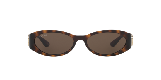 GG1660S Gucci Tortoise