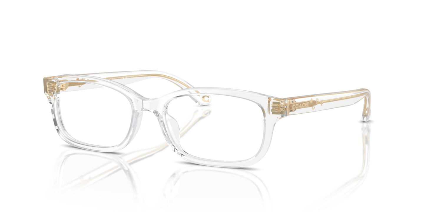 Coach HC6233U Transparent Clear