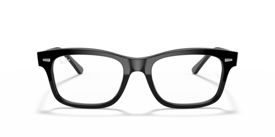 RB5383 Burbank Optics Ray-Ban Black