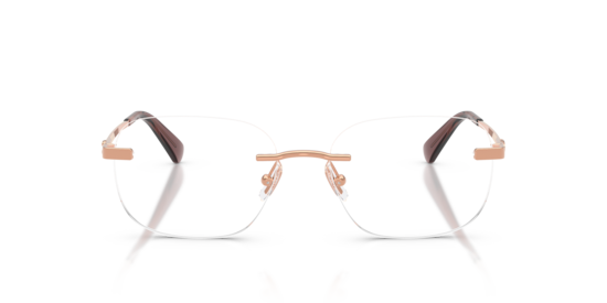 HC5206D Coach Shiny Rose Gold