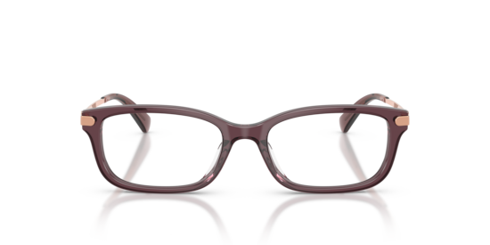 HC6287U Coach Transparent Iris