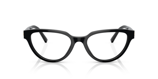 DG3358 Dolce & Gabbana Black