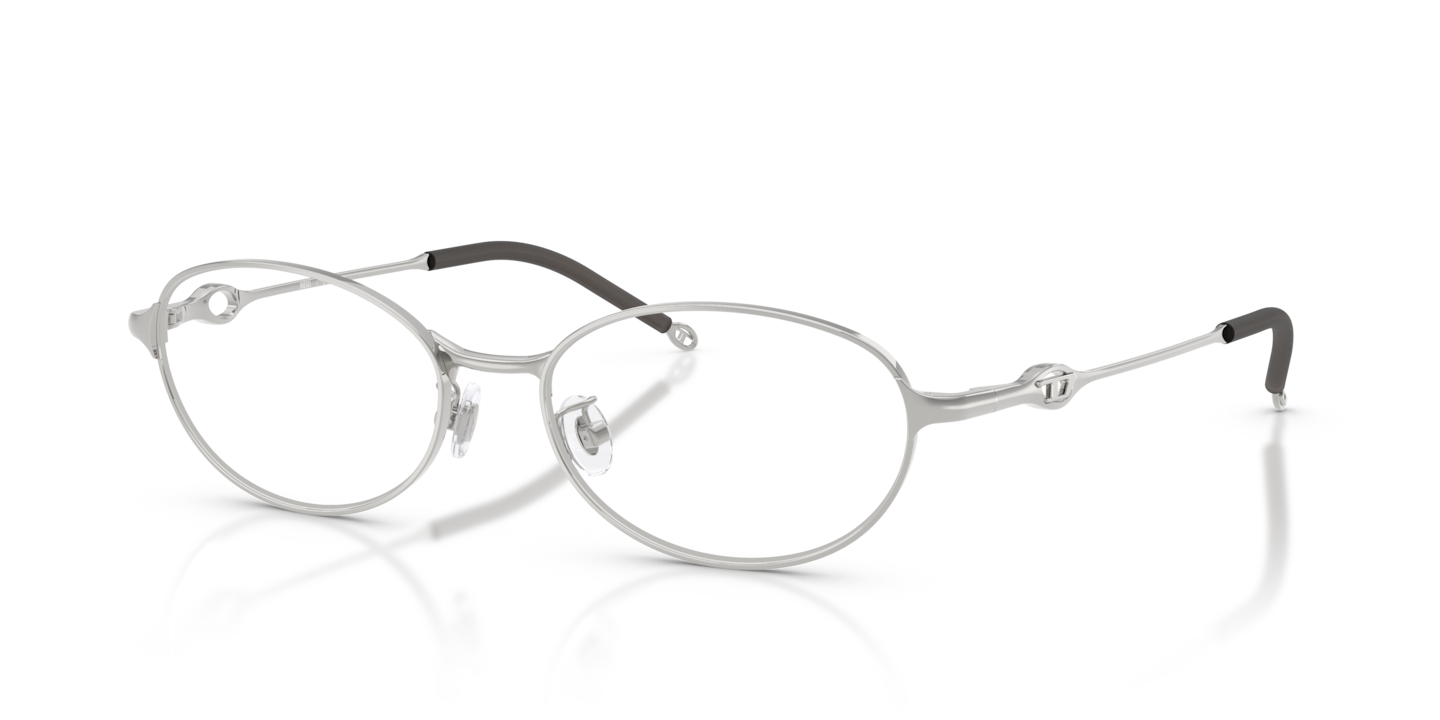 Diesel DL5004D Shiny Silver